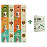Köpekler için Kito Fresh Tanışma Paketi + Kito Multivitamin Bağışıklık Sistemi Destekleyici