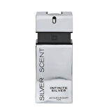 Jacques Bogart Infinite Silver EDT 100 ml Erkek Parfümü