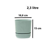 Omnipazar KRS-243 Pera Kare Dekoratif Kaktus Sukulent Saksı 2,3 Litre No 3
