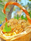 GERMENCİK DAĞLARINDAN DOĞAL DÖKME KURU İNCİR (5kg)