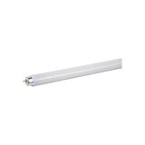 Goldstar 8W Floresan Ampul T5 F8T5/D BL