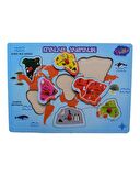 Ahşap Tutmalı Kıtaları Tanıyalım ONY204/205 Playwood