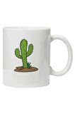 Kupa Bardak Kaktüs Cactus