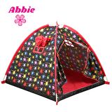 Rainbow Ruby Acemi Boyacı