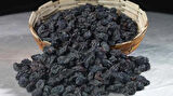 ULTRA GURME GÜNLÜK TAZE %100 ORGANİK YEK KURUYEMİŞ GARANTİSİ İLE ÇEKİRDEKSİZ ÜZÜM 500GR