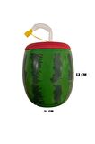 Karpuz Tasarımlı Pipetli Suluk 900 ML