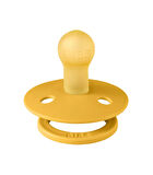 Nessiworld    Colour Kauçuk Emzik 6-18 Ay Honey Bee