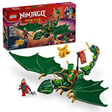 Nessiworld  NINJAGO Lloyd'un Yeşil Orman Ejderhası 71829