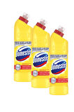 Domestos Limon Ferahlığı Çamaşır Suyu 750 ml , 3 adet