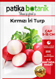 500 Adet İri Kırmızı Turp Tohumu