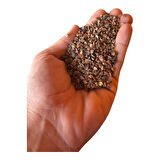 Karabuğday Tohumu Greçka 500 Gr
