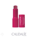 Caudalie Vinotherapist Renkli Dudak Nemlendiricisi 4.5 gr