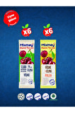 Mixmey Vişne Şöleni Meyve Bar 12 Adet | Glutensiz Ve Sağlıklı Atıştırmalık - 20gr X 12 Adet