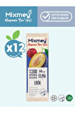 Mixmey Erik Meyve Bar 12 Adet | Vegan, Glutensiz Sağlıklı Atıştırmalık - 20gr X 12 Adet