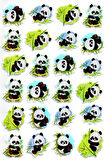 Sticker Kabartmalı A4 Boyutunda Stiker Defter, Planlayıcı Etiket -(Lim105)- Panda