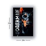 döberman köpek baskılı kanvas duvar tablosu