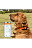 Tkstar 4G Yeni Köpek Kedi Pet Evcil Hayvan Gps Takip Sistemi İzleme Bulma Cihazı Av Köpeği Takip