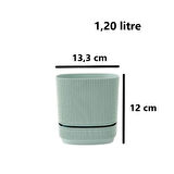 Omnipazar KRS-242 Pera Kare Dekoratif Kaktus Sukulent Saksı 1,20 Litre No 2