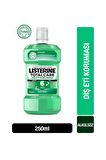 Listerine Diş Ve Diş Eti Koruması Hafif Tat 250 Ml