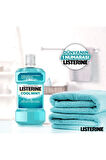 Listerine Cool Mint Ağız Gargarası 500+250 ml