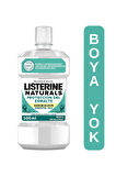 LISTERINE Naturals Emaye Koruma Hafif Lezzet Nane (Alkol veya Boya Yok, Vegan ) 500ml