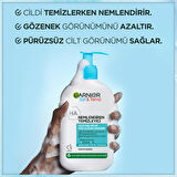 Garnier Saf&Temiz Nemlendiren Temizleyici 250 ml