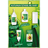 Garnier Nutrisse Yoğun Besleyici Kalıcı Krem Saç Boyası 4 1:2 Işıltılı Kahve