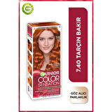 Garnier Çarpıcı Renkler 7.40 Tarçın Bakır Saç Boyası