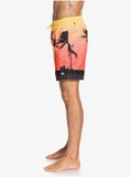 Quiksilver Pardsvly17 M Jamv Erkek Şort