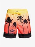 Quiksilver Pardsvly17 M Jamv Erkek Şort