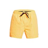 Quiksilver Everyday 15 M Jamv Erkek Volley Short  EQYJV03531-NLQ0