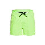 Quiksilver Everyday 15 M Jamv Erkek Volley Short  EQYJV03531-GGY0
