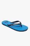 Quiksilver Molokaı Erkek Mavi Parmak Arası Terlik AQYL100601-XBBB