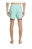 Quiksilver Everyday 15 M Jamv Erkek Volley Short  EQYJV03531-GCZ0