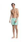 Quiksilver Everyday 15 M Jamv Erkek Volley Short  EQYJV03531-GCZ0