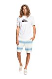 Quiksilver Comp Logo Erkek Tişört  EQYZT06534
