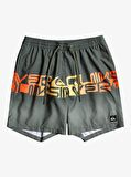Quiksilver Word Block 17 Erkek Deniz Şortu  EQYJV03859