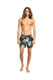 Quiksilver Ocean Mix Erkek Deniz Şortu  EQYJV03870