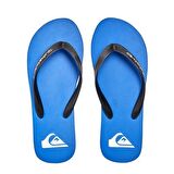 Quiksilver Molokai Core Erkek Parmak Arası Terlik AQYL101325