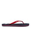 Quiksilver Molokai Core Erkek Terlik AQYL101325