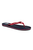 Quiksilver Molokai Core Erkek Terlik AQYL101325