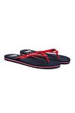 Quiksilver Molokai Core Erkek Terlik AQYL101325