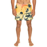 Quiksilver Paradise 15 M Jamv Erkek Volley Short  EQYJV03999