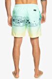 Quiksilver Wordblock 17 Erkek Volley Short  EQYJV04005