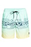 Quiksilver Wordblock 17 Erkek Volley Short  EQYJV04005