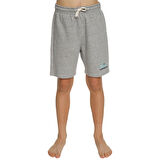 Quiksilver Easy Day Erkek Sweat Şort  EQBFB03144