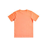 Quiksilver QS Surf Club Erkek Çocuk Tişört  EQBZT04641