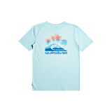 Quiksilver Pastime Paradise Erkek Tişört  EQYZT07252