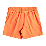 Billabong All Day Lb Erkek Deniz Şortu  EBYJV00104