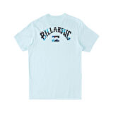 Billabong Arch Fill Erkek Çocuk Tişört
